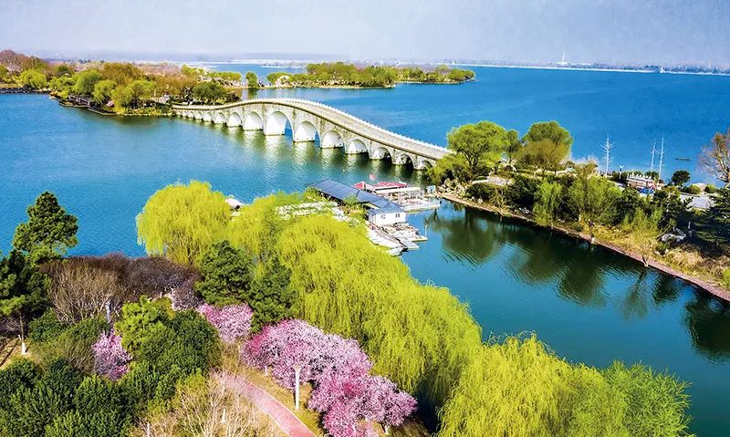 1654847426917351.jpg 1.jpg